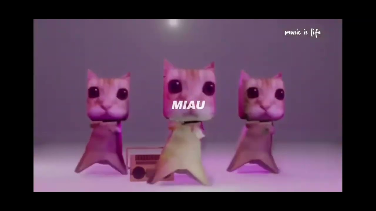 Ay mi gatito miau miau tiktok