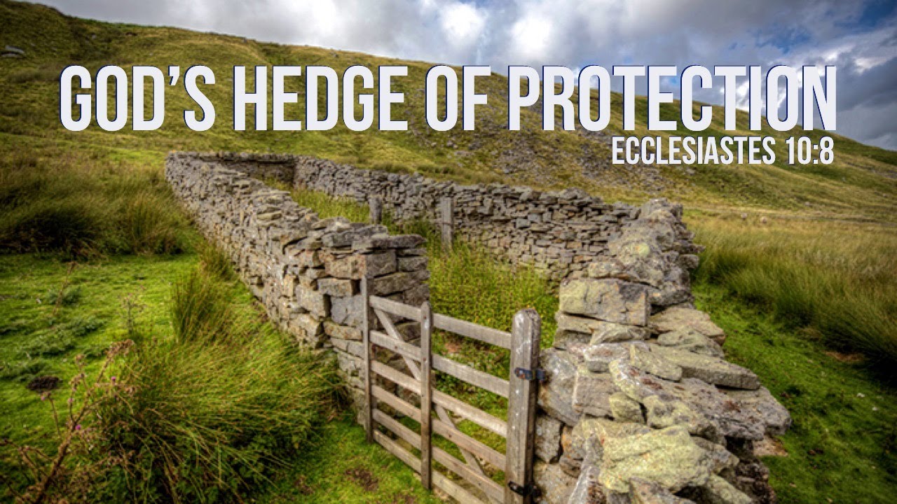 God's Hedge of Protection
