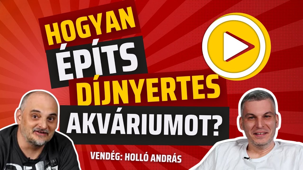Hogyan legyen egy nyertes akváriumod? 🎯 Tippek és trükkök Holló Andrással