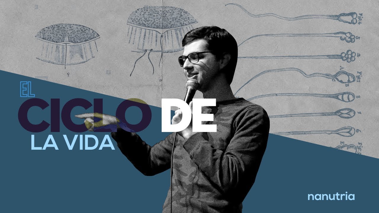 Especial de Stand Up / El ciclo de la vida / Nanutria