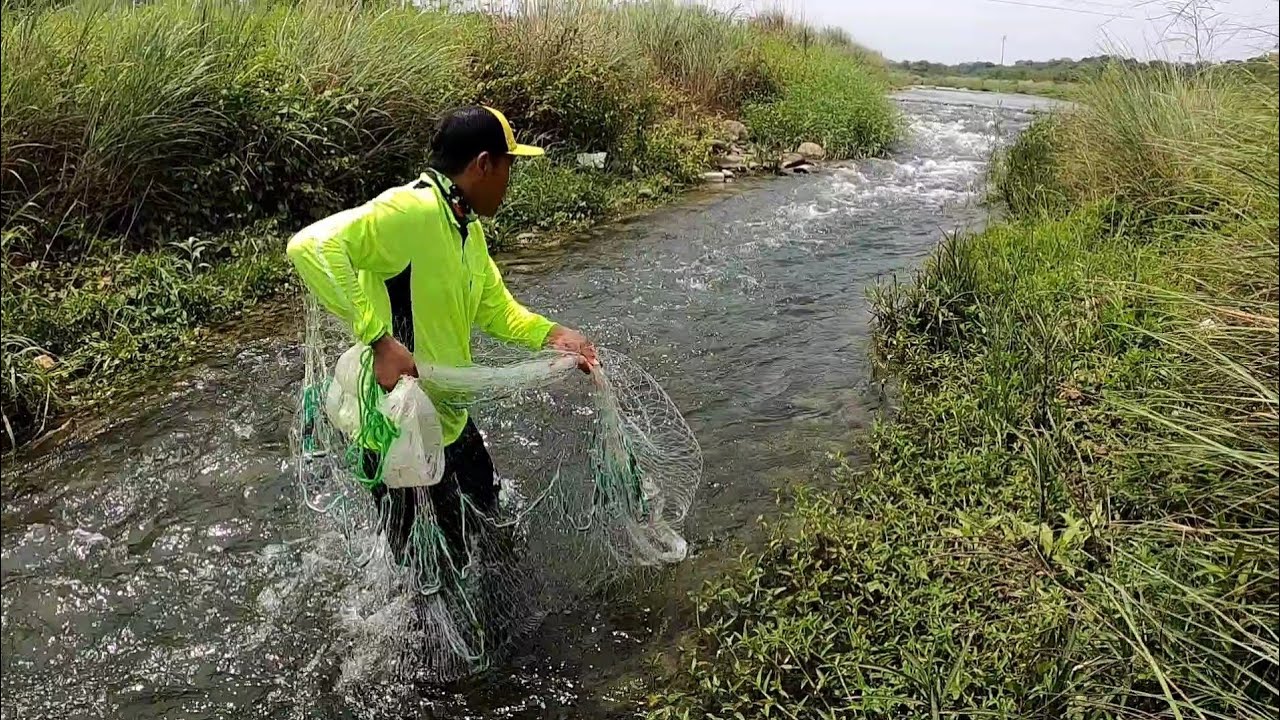 ngga nyangka jala ikan di arus deras dapat ikan mahseer di sungai air jernih dan bersih