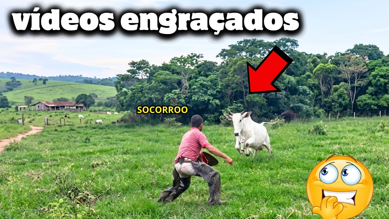 TENTE NÃO RIR 😂 | Melhores Vídeos Engraçados e Memes [2026]