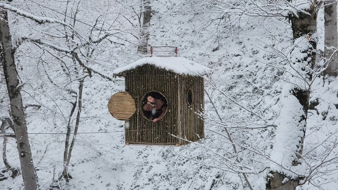 building a hut at an altitude of 48 meters in a snowy, harsh forest!