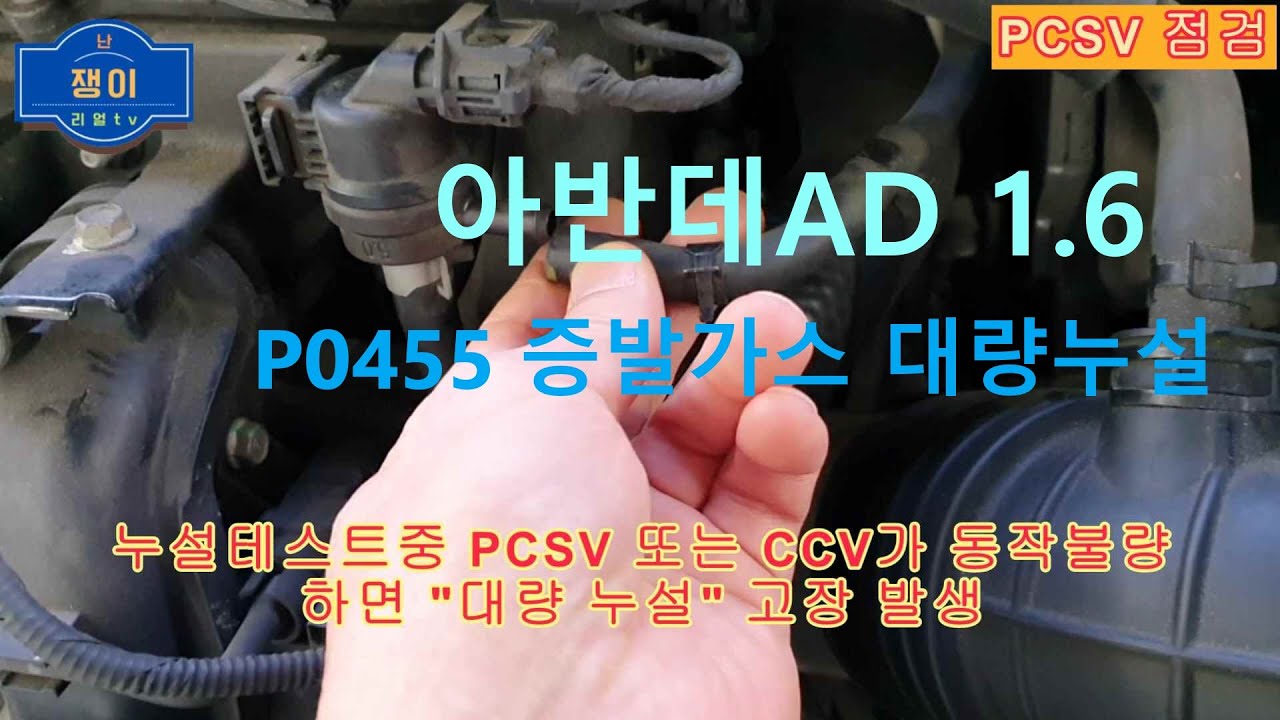 아반데AD 1.6 16년식. DTC P0455 증발가스 대량누설,
