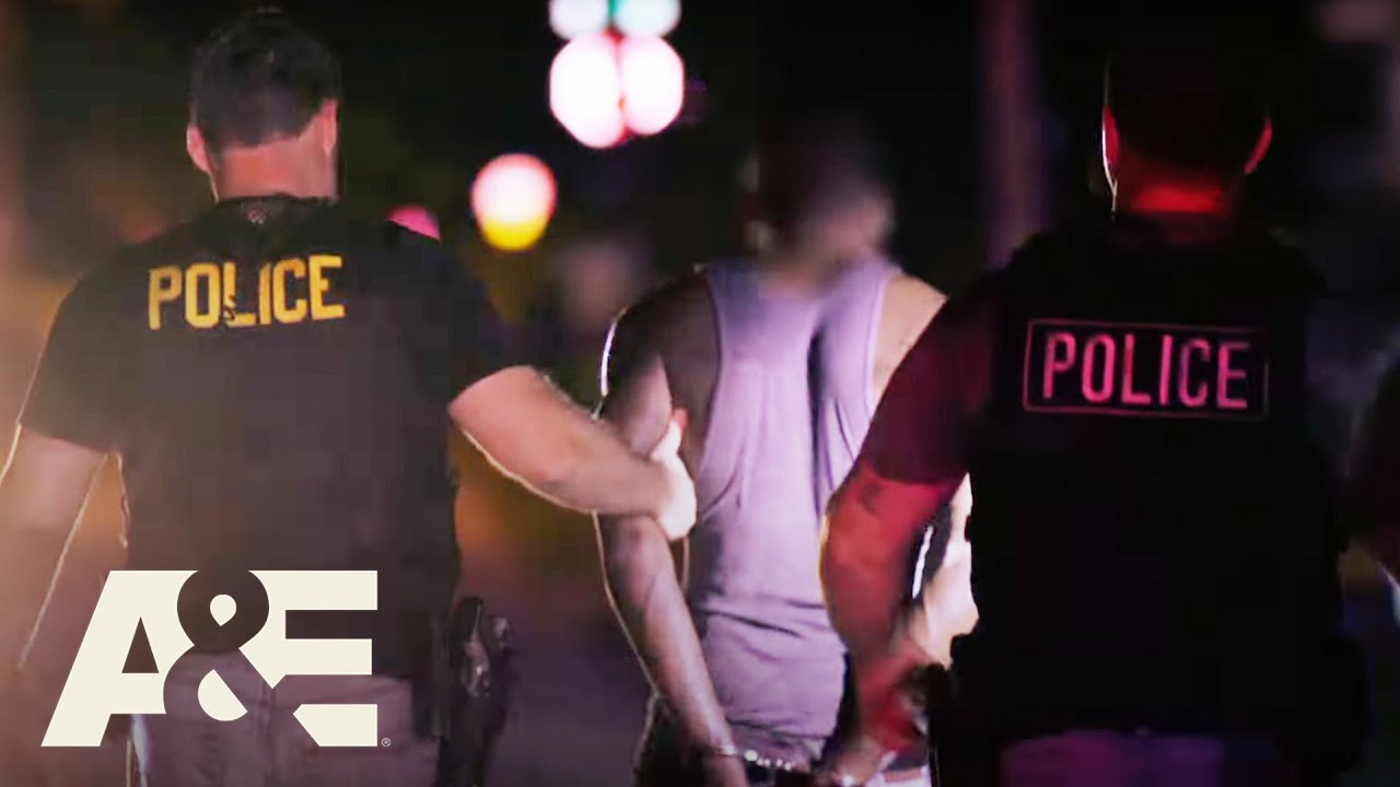K9 Catches Suspect With 6 Warrants on the Run | Nightwatch | A&E