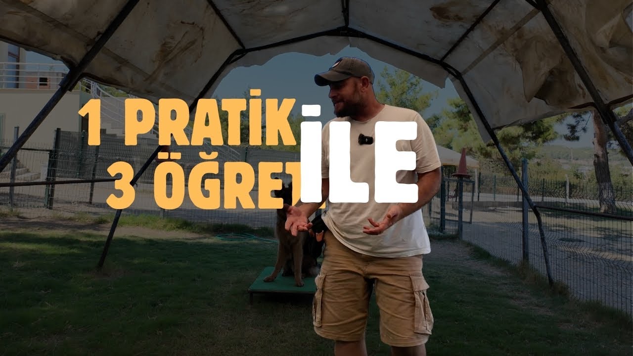 Köpeğine 