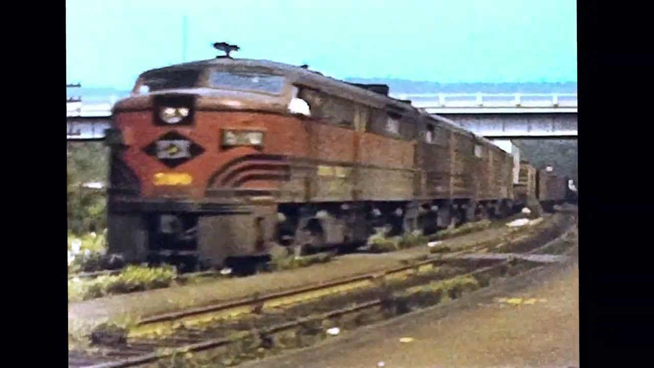 LV Lehigh Valley Cornell Red Years