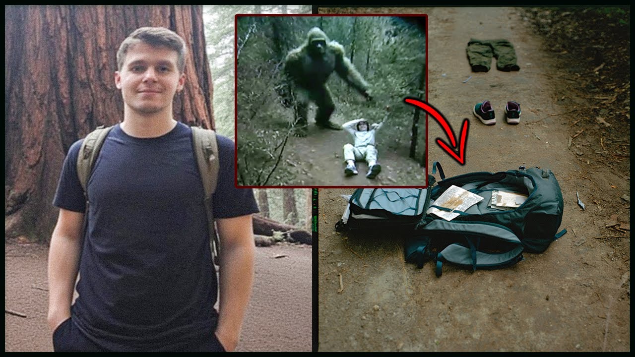 Mysterious Disappearance of Tourist in Sequoia Park — Belongings Scattered. Who Took Him?