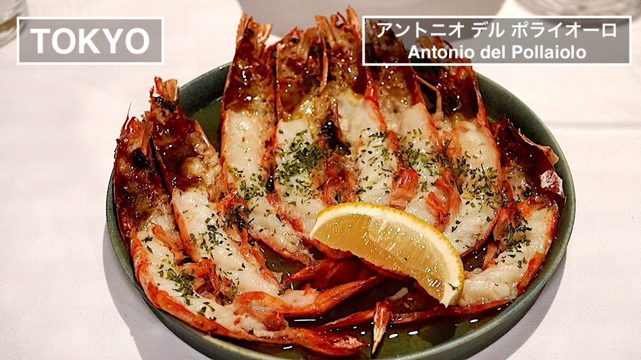 トラットリアならではの温かな雰囲気の中での食事を愉しむ - アントニオ -【東京】