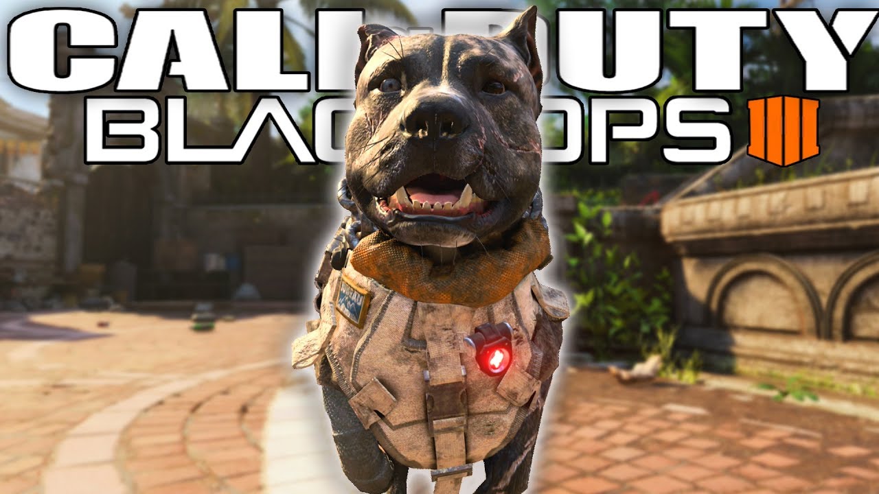 10 Things You Didn't Know About Call of Duty Black Ops 4!