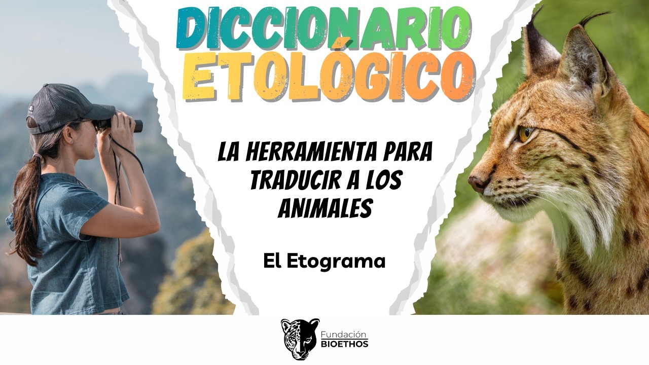 El Etograma | La herramienta para traducir el comportamiento animal