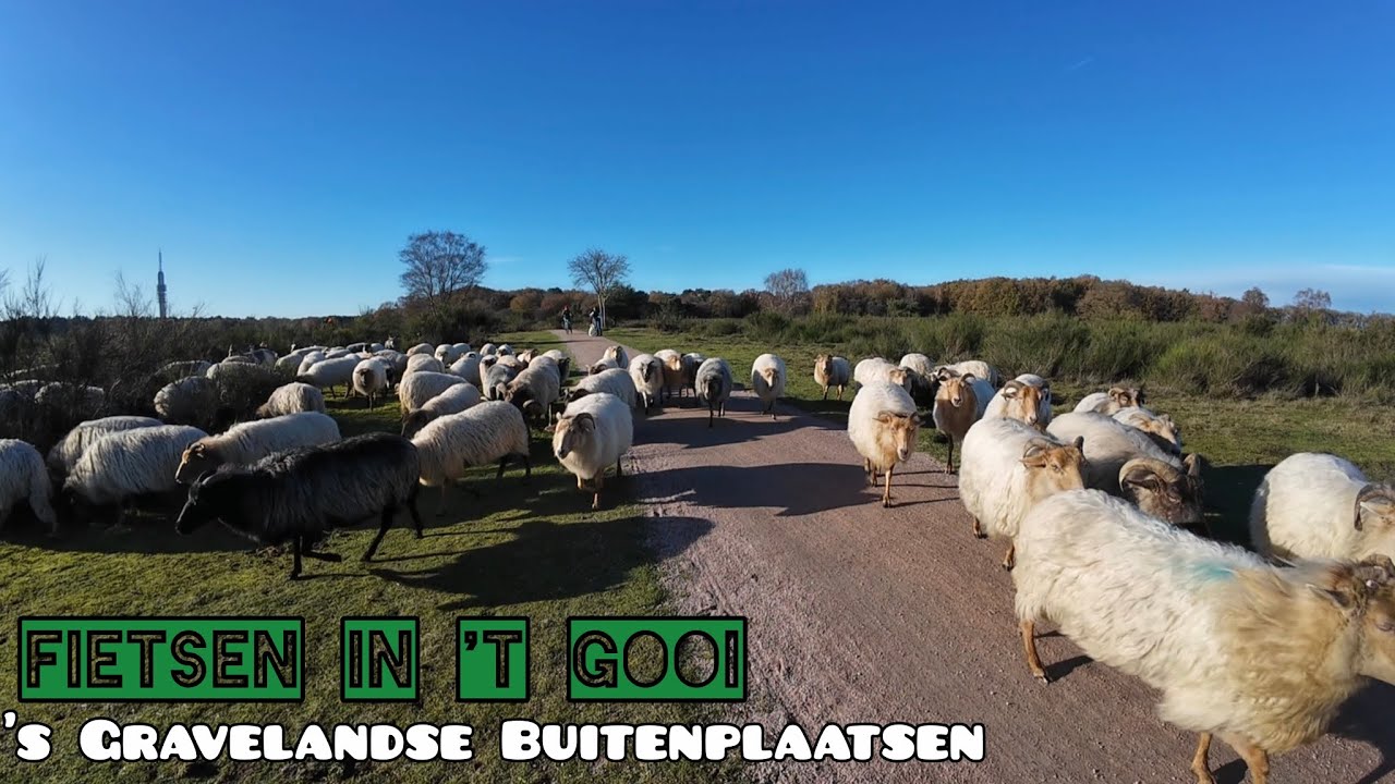 Fietsroute 's Gravelandse Buitenplaatsen | Fietsen door 't Gooi op de OV-fiets | 50 km |