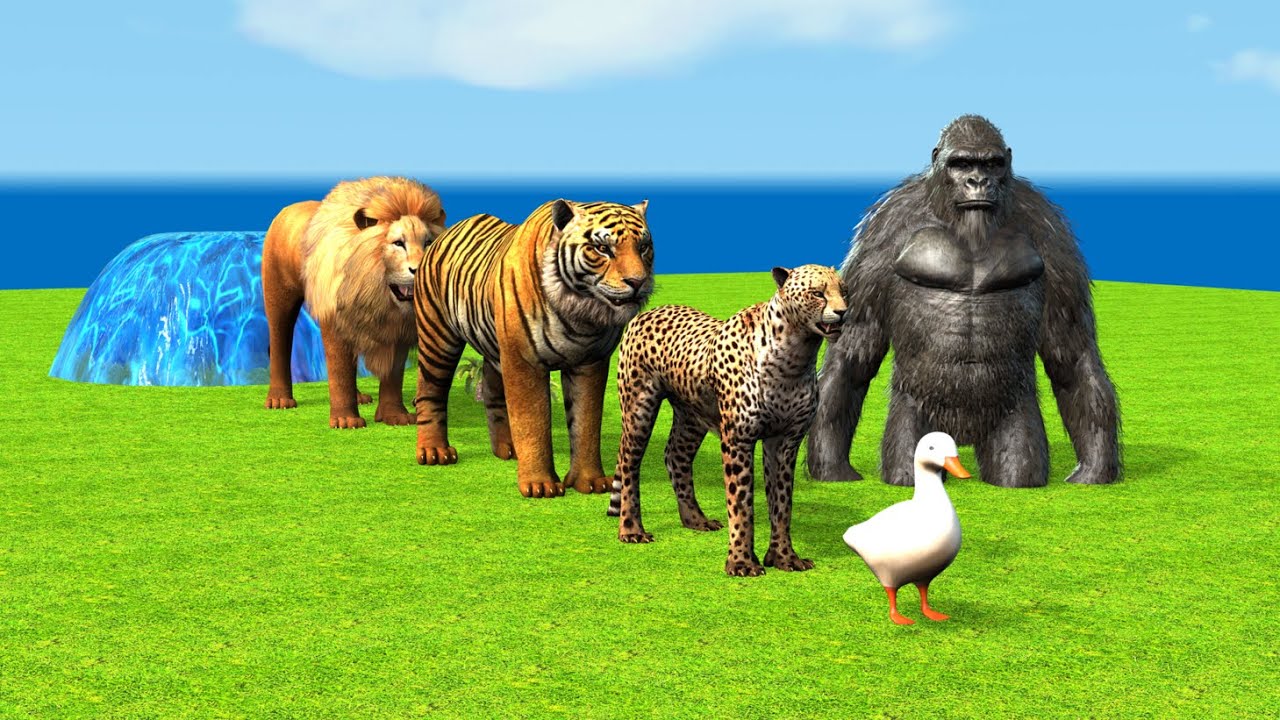 Long Slide Game With Cow Elephant Gorilla Hippopotamus Tiger - 3d Animal Game - Funny 3d Animals