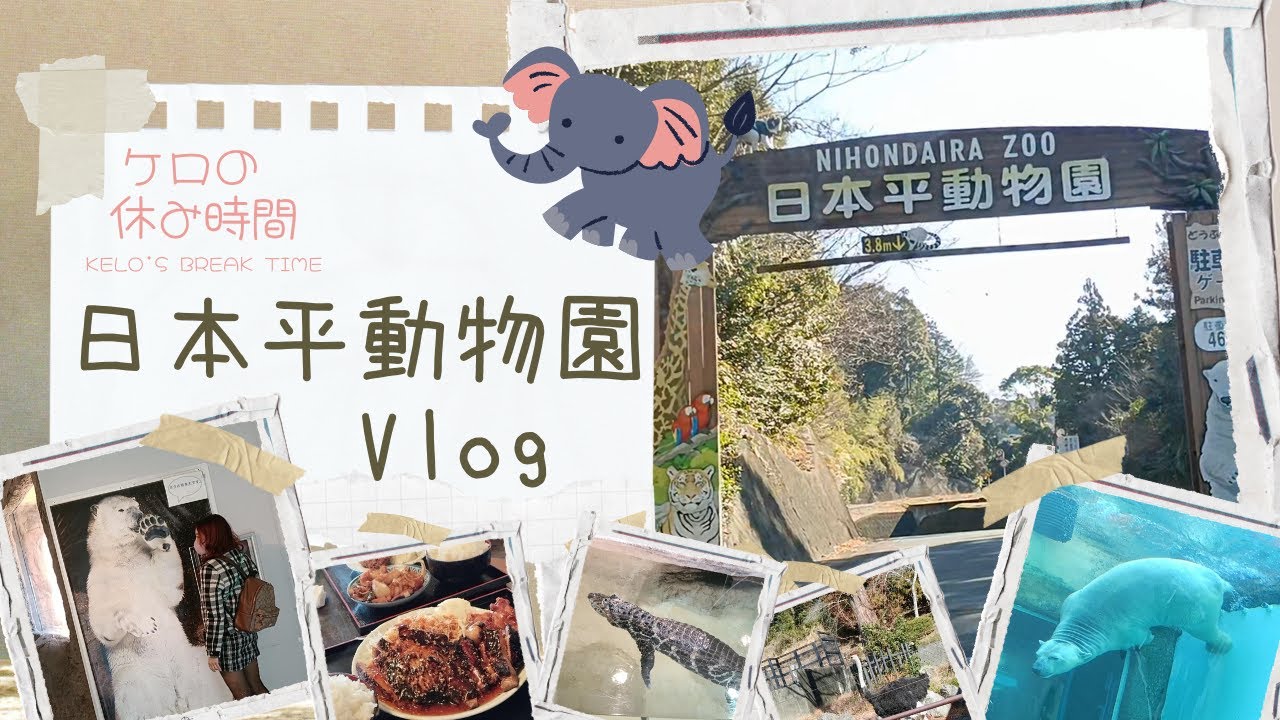 【日本平動物園】静岡休日おでかけVlog
