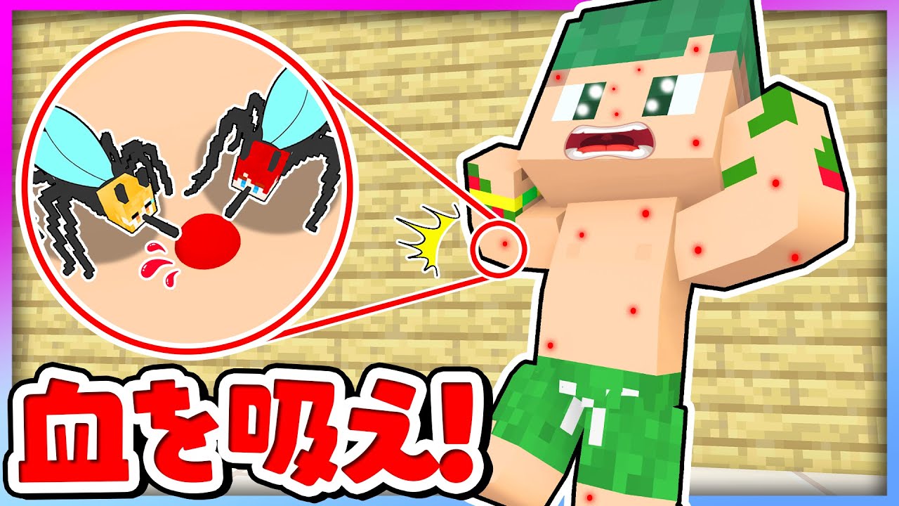 【蚊になっちゃった!?】人間にバレずに血を吸うマインクラフト!『蚊 vs 人間』🦟💨💉【まいくら・Minecraft】よろずや🍭