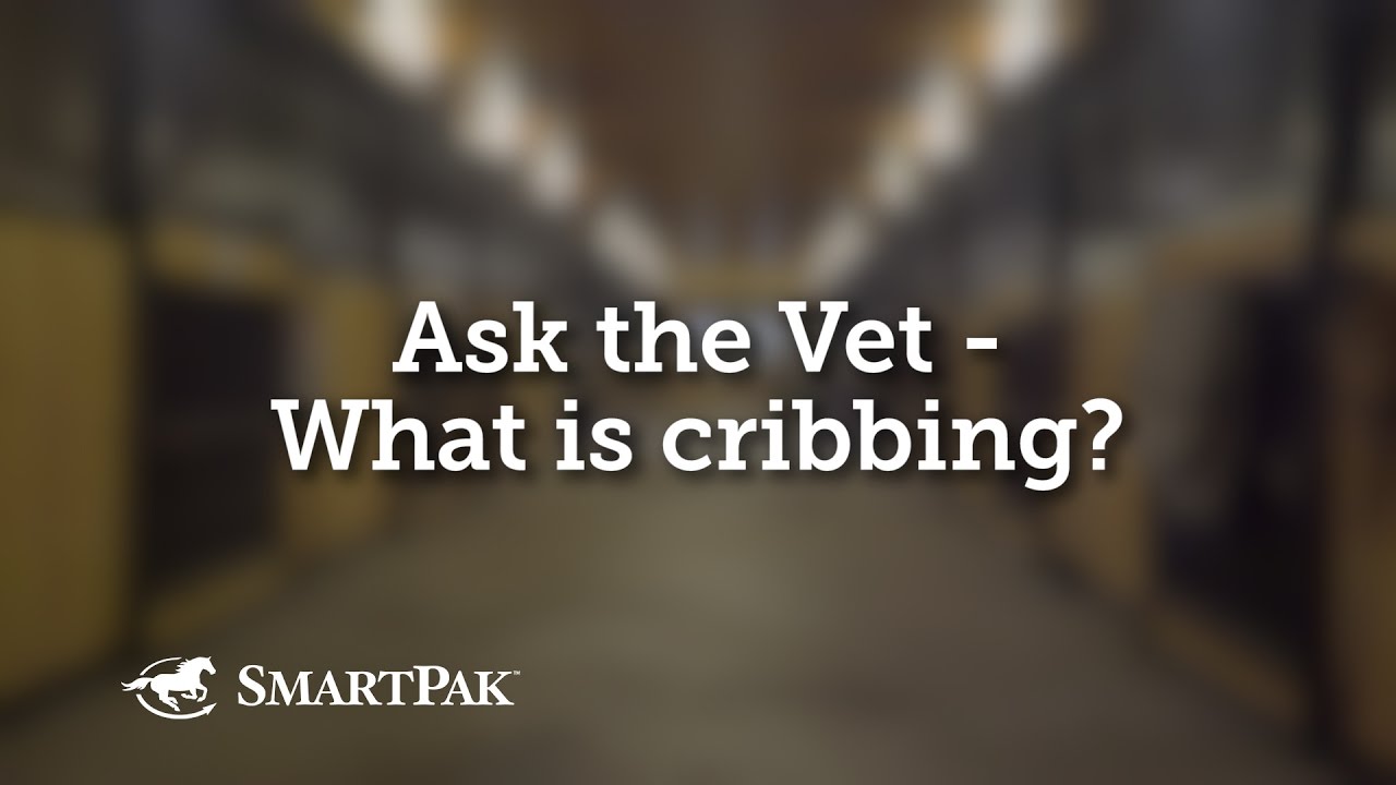 Ask the Vet - What is cribbing?