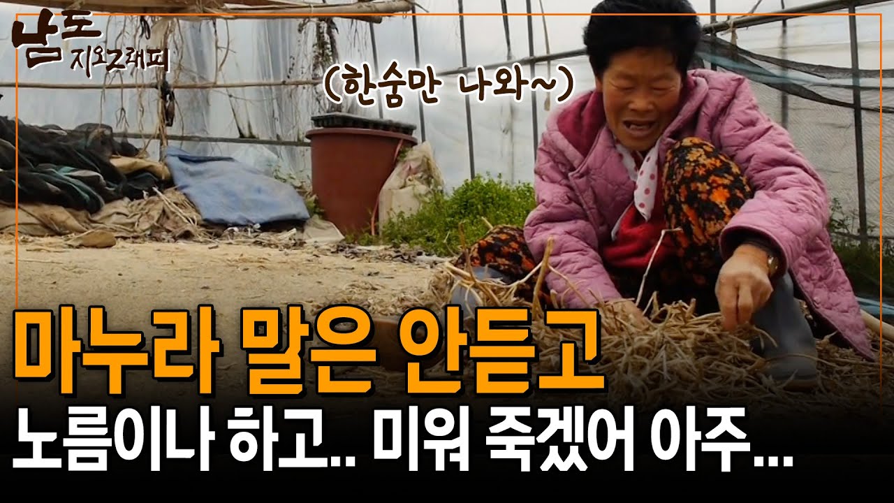 내 말 잘 들으면 내가 잘해줄거 아니여! 근데 맨날 밖으로 나가기나 하고.. [남도지오그래피] | KBS 150423