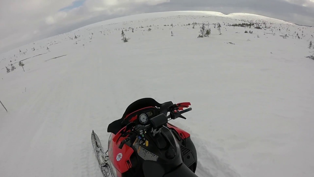 Those Norwegian Guys - LET´S GO 2017