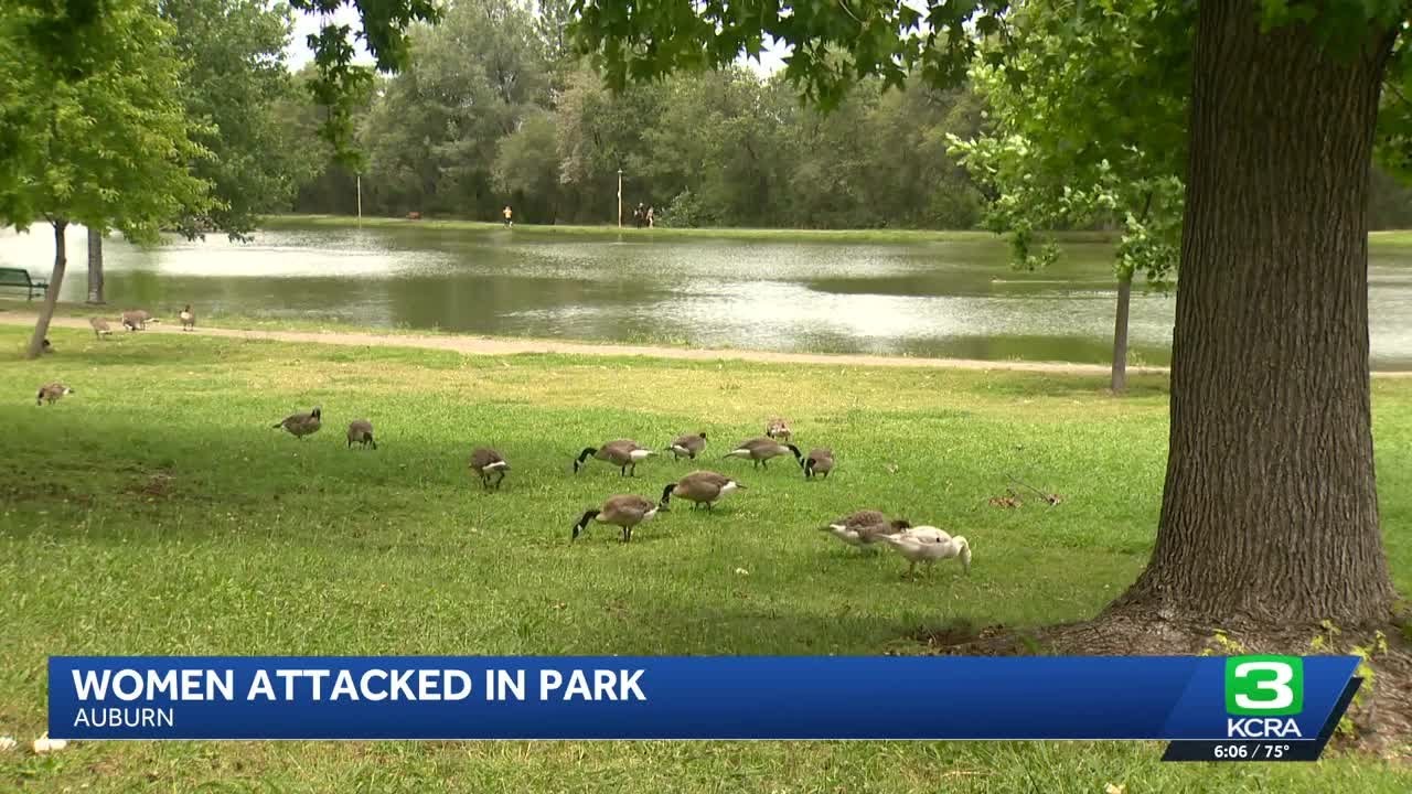 Women attacked in park while fishing in Auburn
