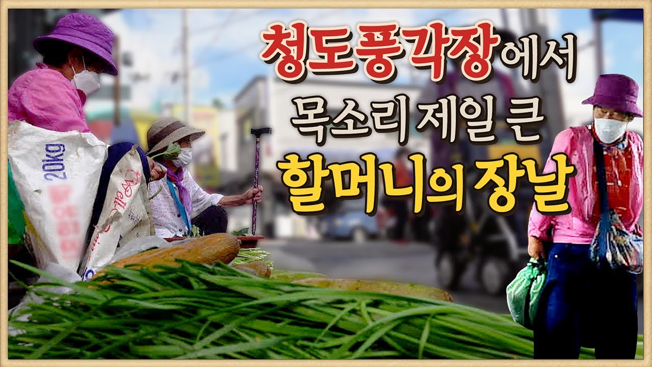 청도풍각장에서 목소리 제일 큰 할머니의 장날을 따라 갑니다/풍각장/청도 풍각 5일장/풍각장의 노포맛집/소머리 국밥/청도 금동마을/5일장에 구경 나온 꼬마 손님들/어물전의 모녀