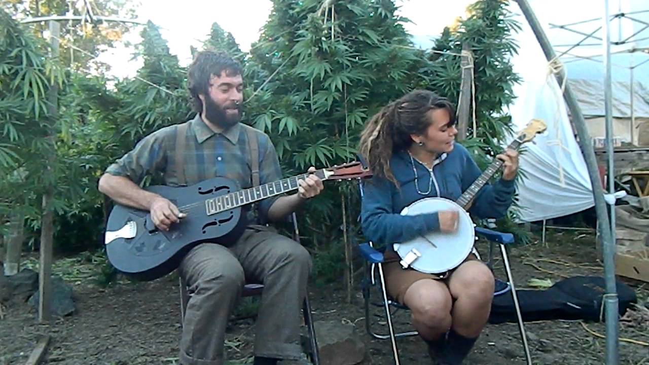 The Hokum High Rollers - Chicken You Can Roost Behind The Moon
