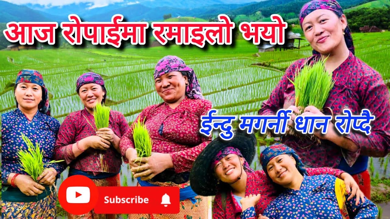 Je xa gaumai xa ramailo git gauna najanera Hami dherai hasem ghar jane belama@Indumagarni5555