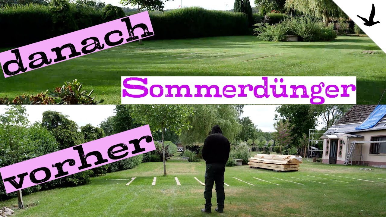 Rasendünger Sommer ✅Rasen düngen gegen Unkraut - Hitze - Dürre & Stress.