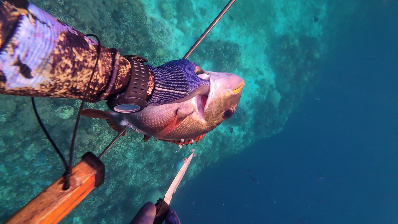Na-ilad jud ag isda nga pinaka Maro! | Hunting the most Elusive Fish! | Big Eye Emperor!