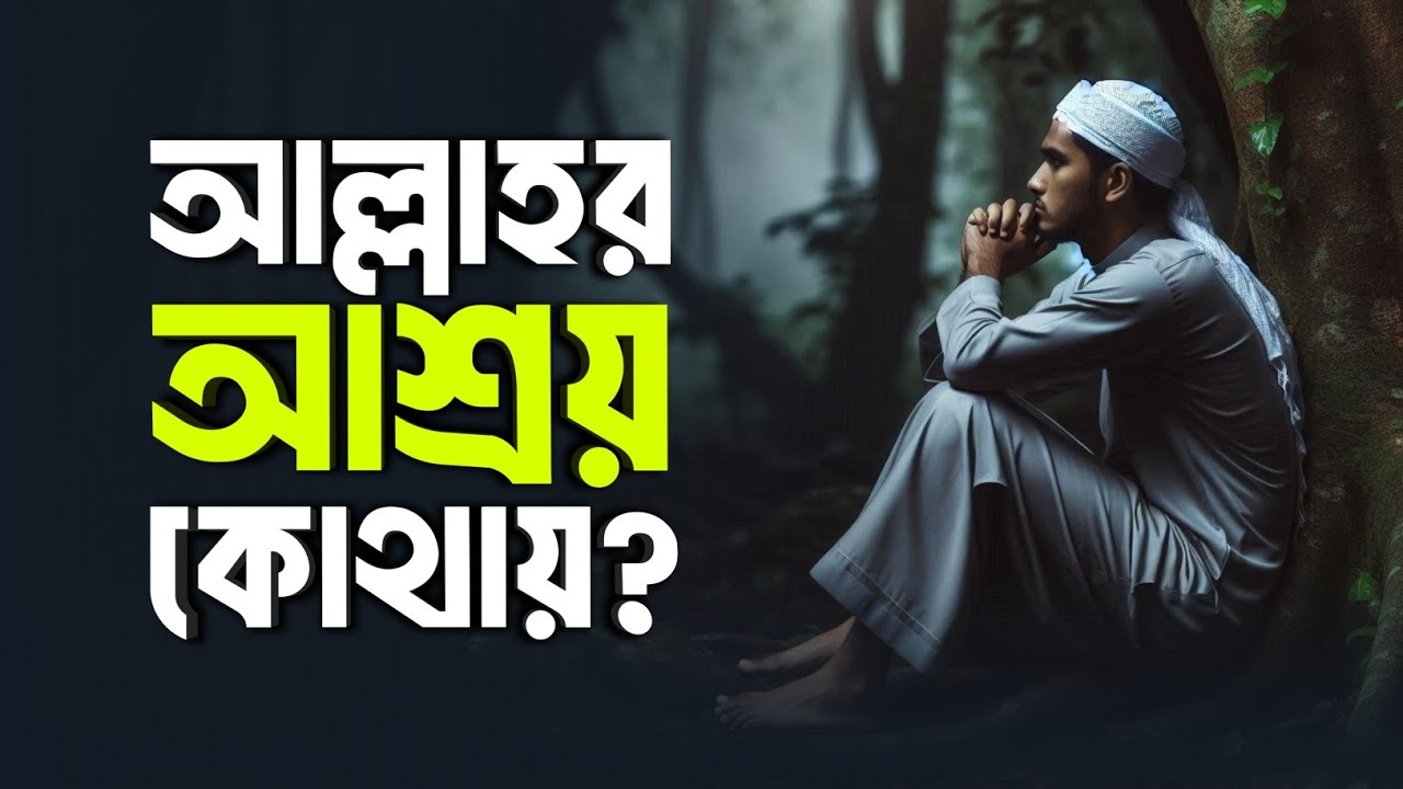 আল্লাহর আশ্রয়ে এসে যাও! Islamic remainder | jannat jahannam | koborer azab | life in jannah