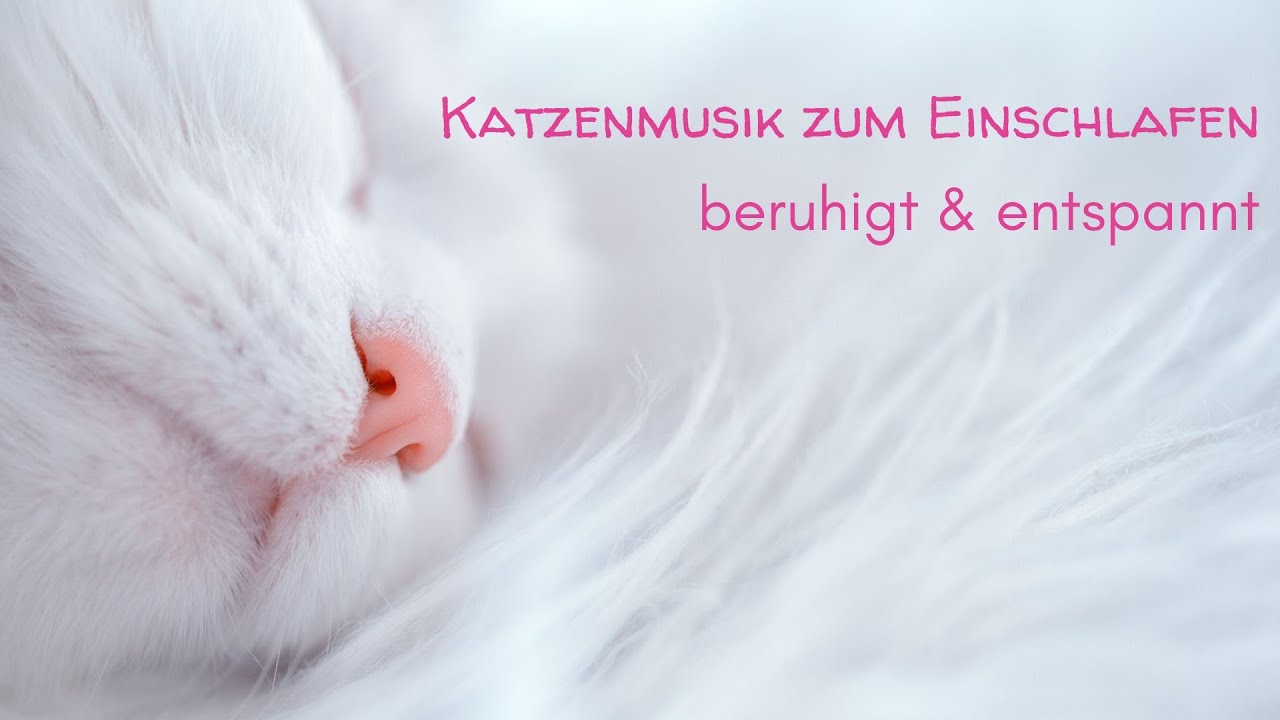 Katzenmusik zum Entspannen und Einschlafen - beruhigende Musik für Katzen und ihre Menschen