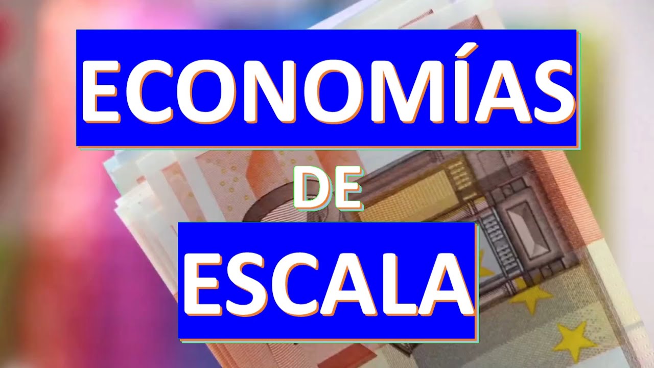 Economías (y deseconomías) de Escala