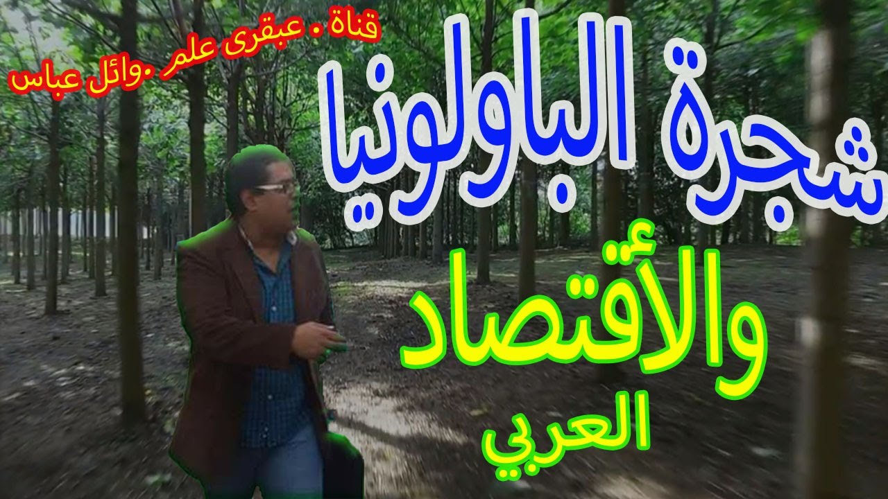 شجرة الباولونيا: تحويل السعودية ومصر إلى قوة عالمية في الصناعة والبيئة.Paulownia tree.قناة عبقرى علم