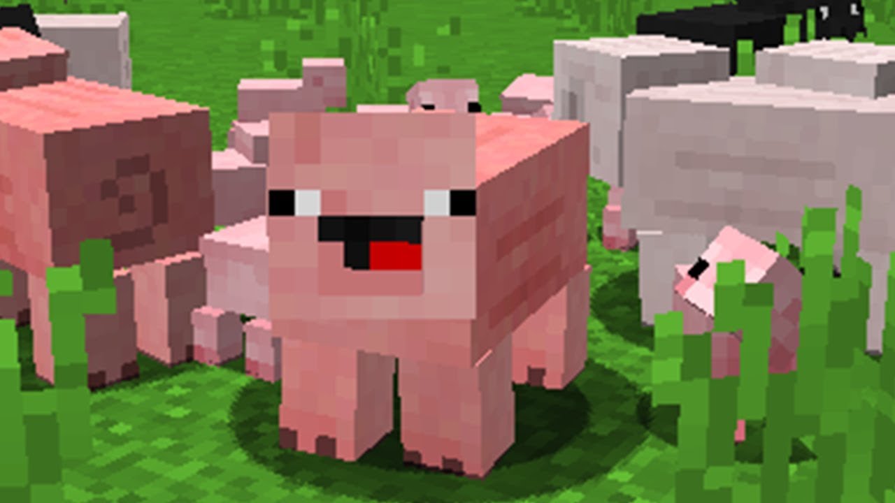 TEM UM PORQUINHO ESTRANHO NO MINECRAFT