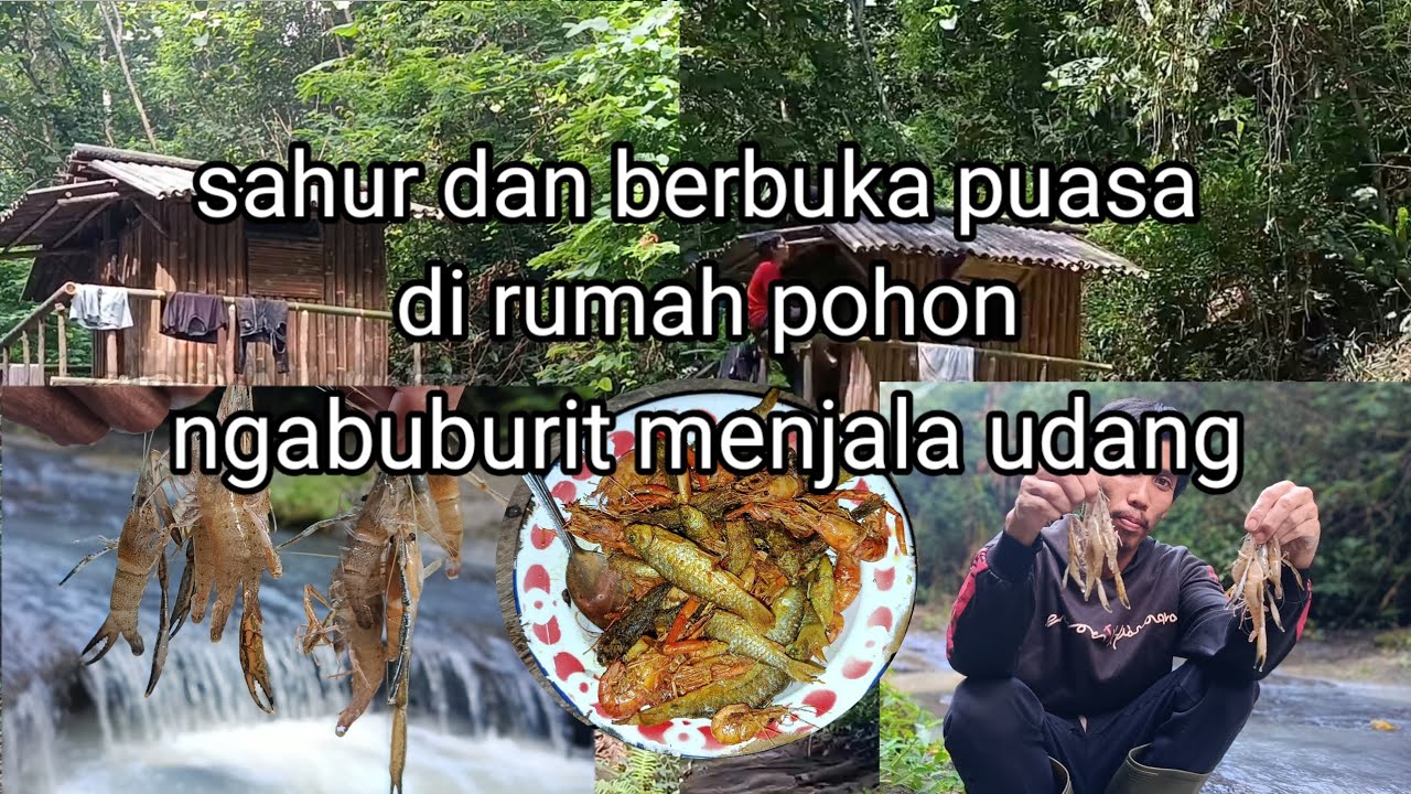 3 hari 2 malam menginap di rumah pohon. Ngabuburit berburu udang