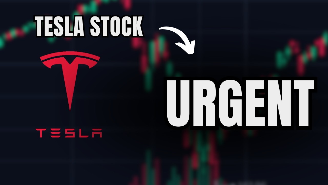 IPO SpaceX и акции Tesla... (Посмотрите до завтрашнего утра)