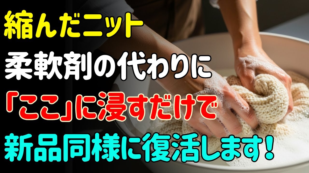 縮んだニット、リンスは使わないでください！「これ」一つで新品のように復活させる方法｜クリーニング店の秘密公開