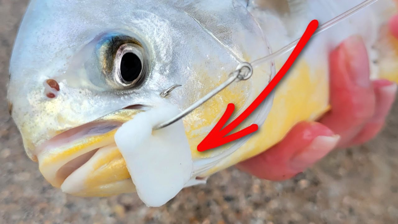 How To Use Fishbites For Surf Fishing (Tips, Pros, & Cons)