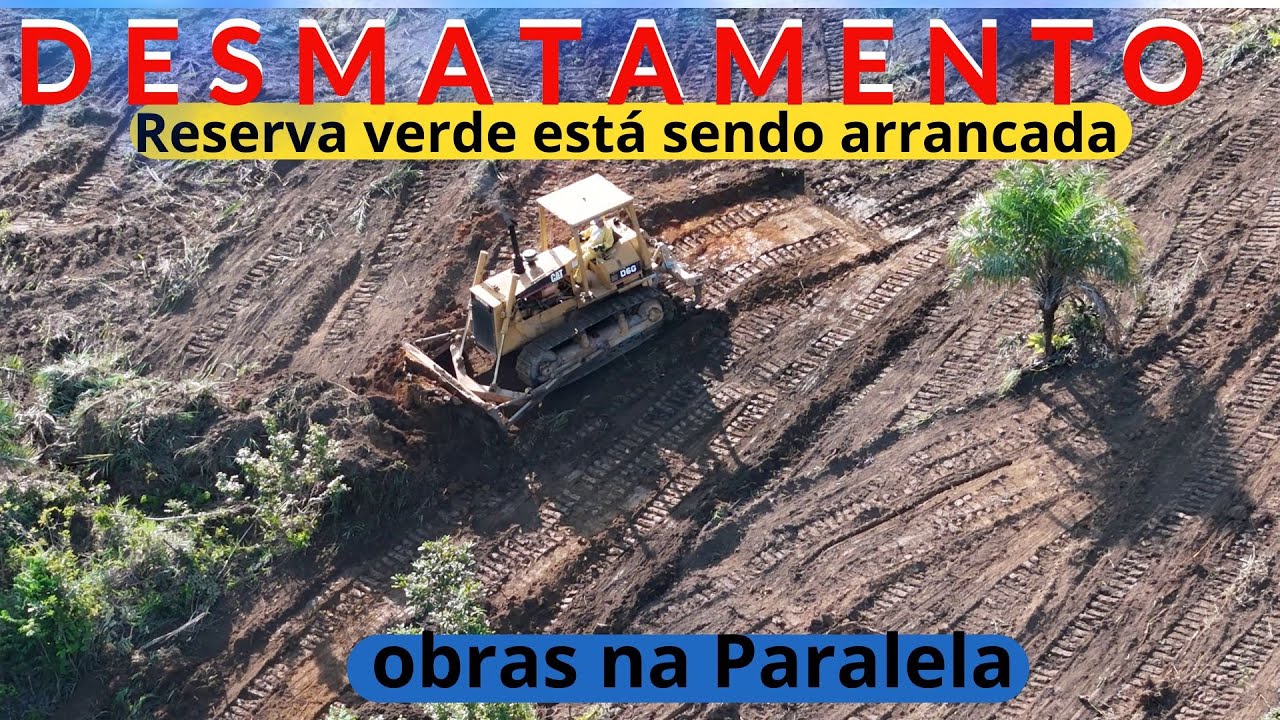 DESMATAMENTO DE ÁREA VERDE EM SALVADOR #drone #air3 #dji