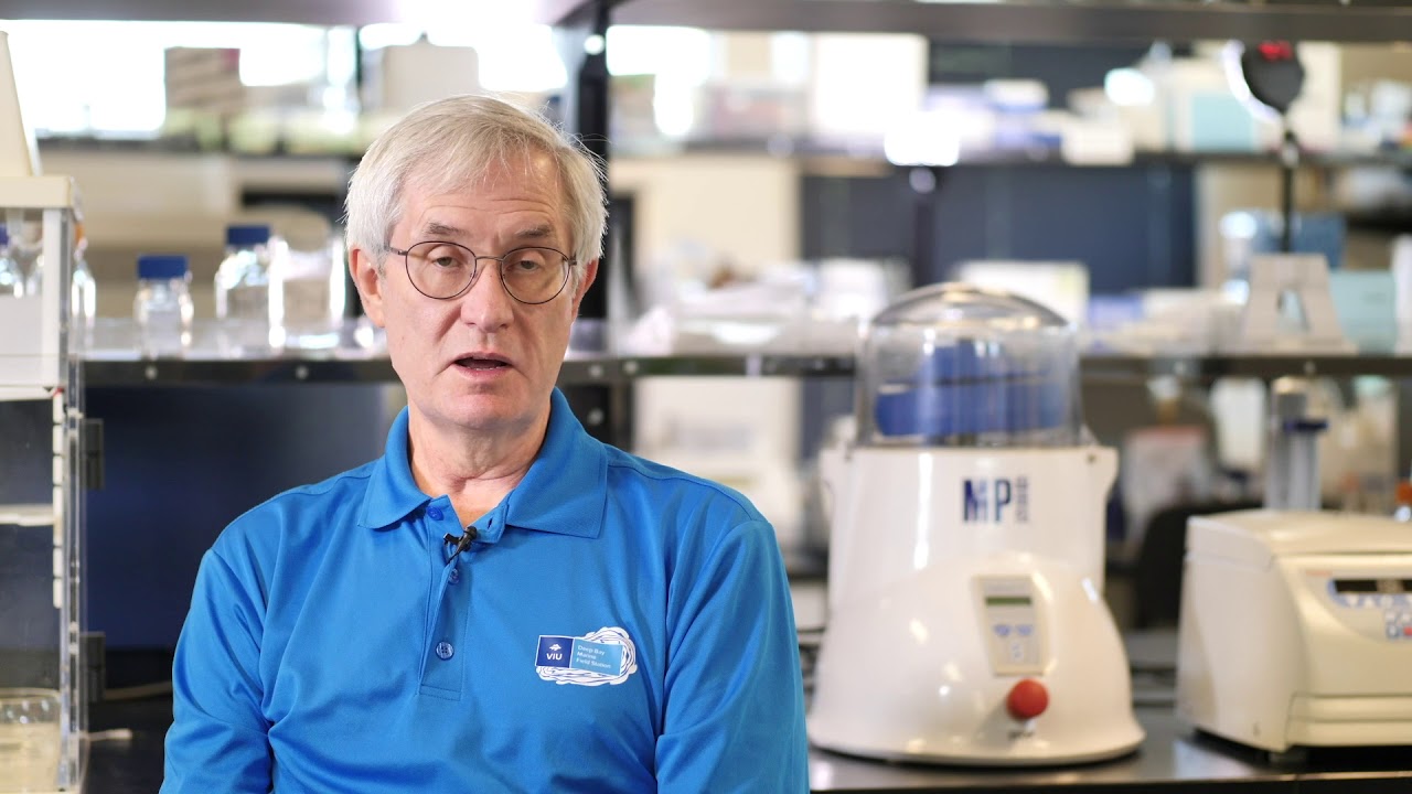 Using Vaccines in Salmon Farming