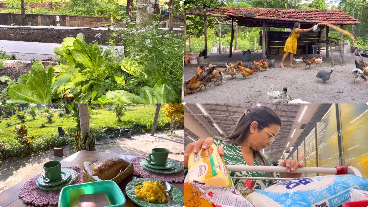 Vida Simples na Presença de Deus: Café da manhã☕️+ galinhas 🐓+ Compras do Mês #vidanaroça #gratidão 
