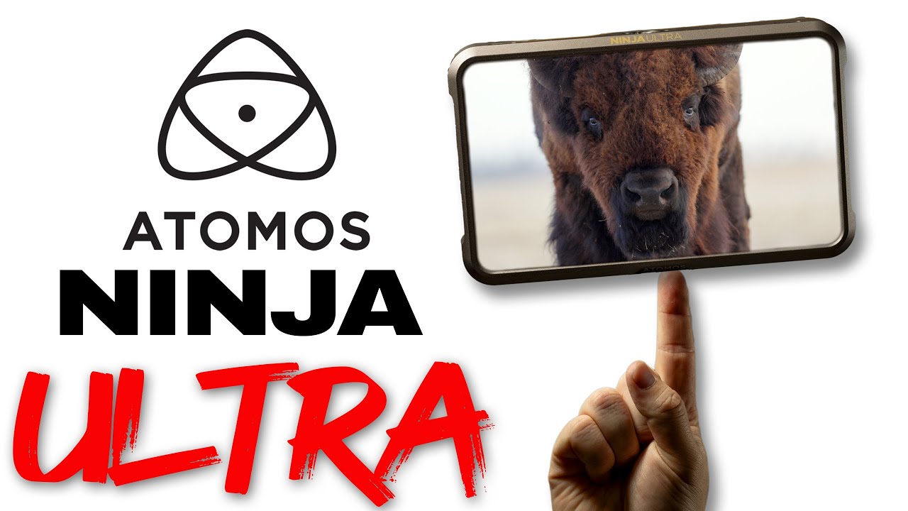 Обзор Atomos Ninja Ultra для дикой природы и кинопроизводства (тест в реальных условиях)