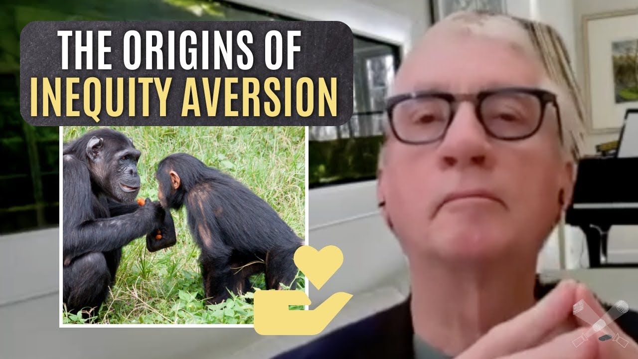 Frans de Waal on Equal Resource Distribution and Empathy in Chimps