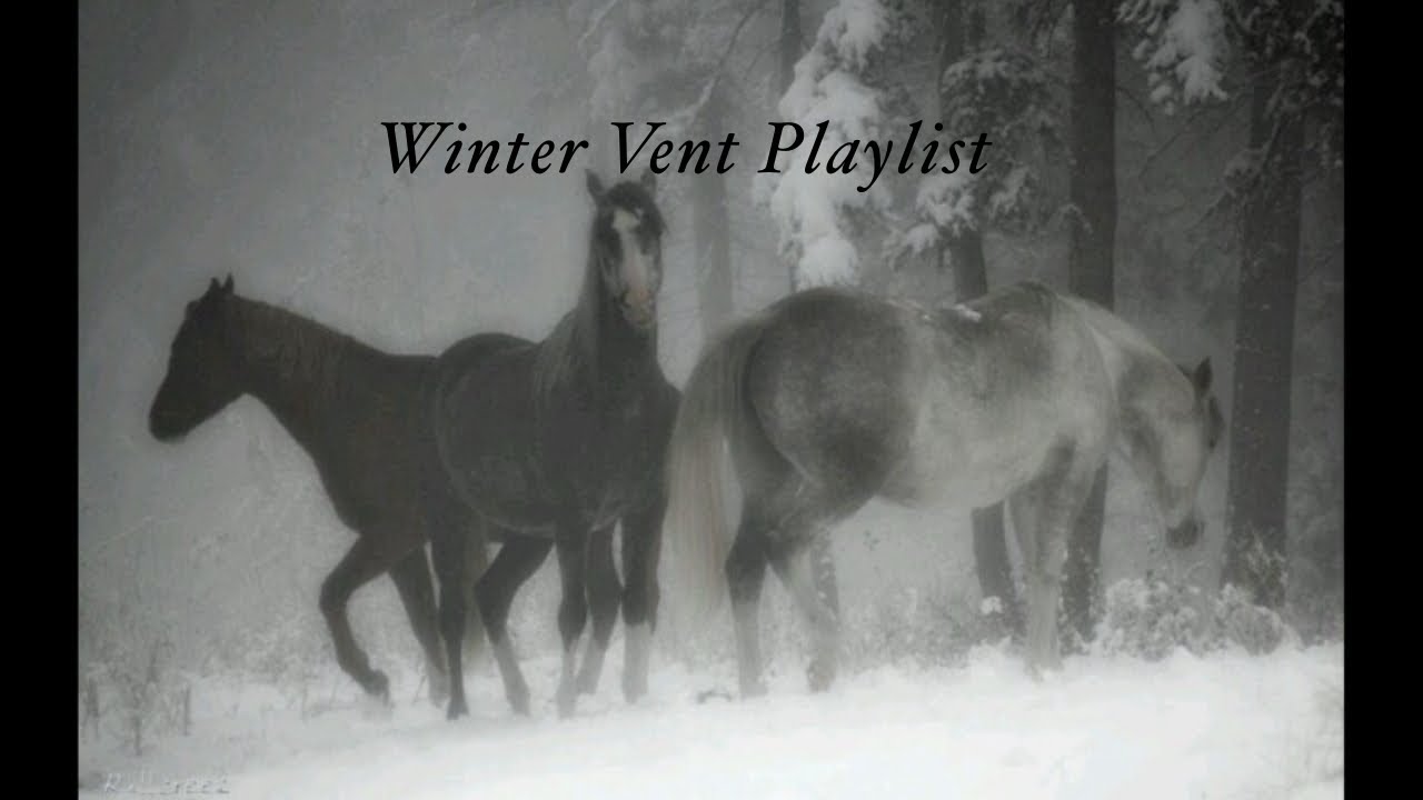 'I Can Feel The Tears Starting' - vent playlist