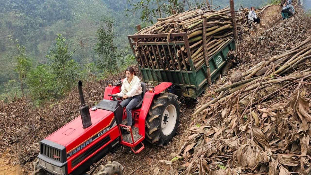 continue the new day's work girl driving agricultural machinery transporting firewood