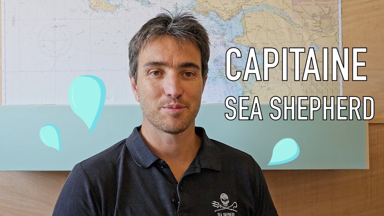 CAPITAINE DE NAVIRE CHEZ SEA SHEPHERD : quotidien, salaire, parcours | Pool