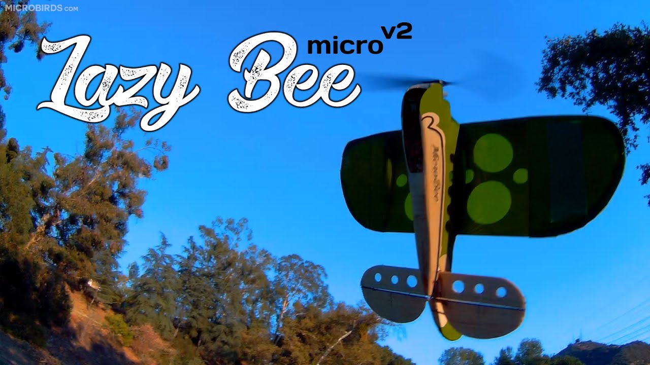 Micro Lazy Bee 3D V2