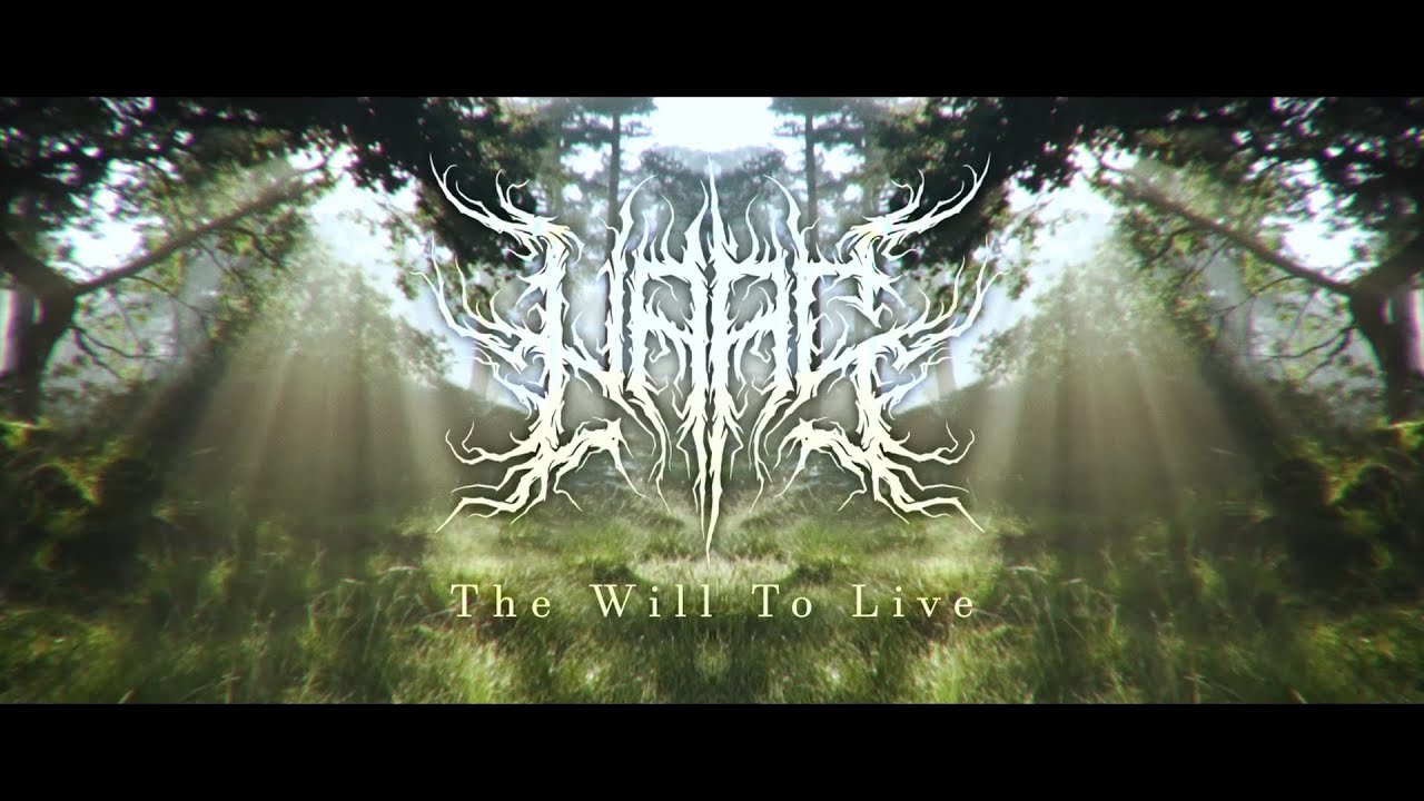 The Will To Live [Melodic Metal Instrumental]