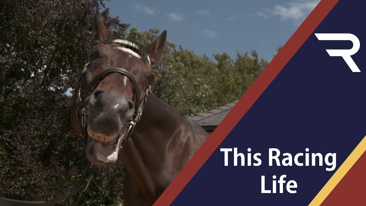 Juddmonte Part 1 - This Racing Life - Racing TV