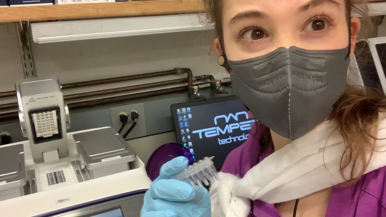 PCR (Polymerase Chain Reaction) - theory & practical tips