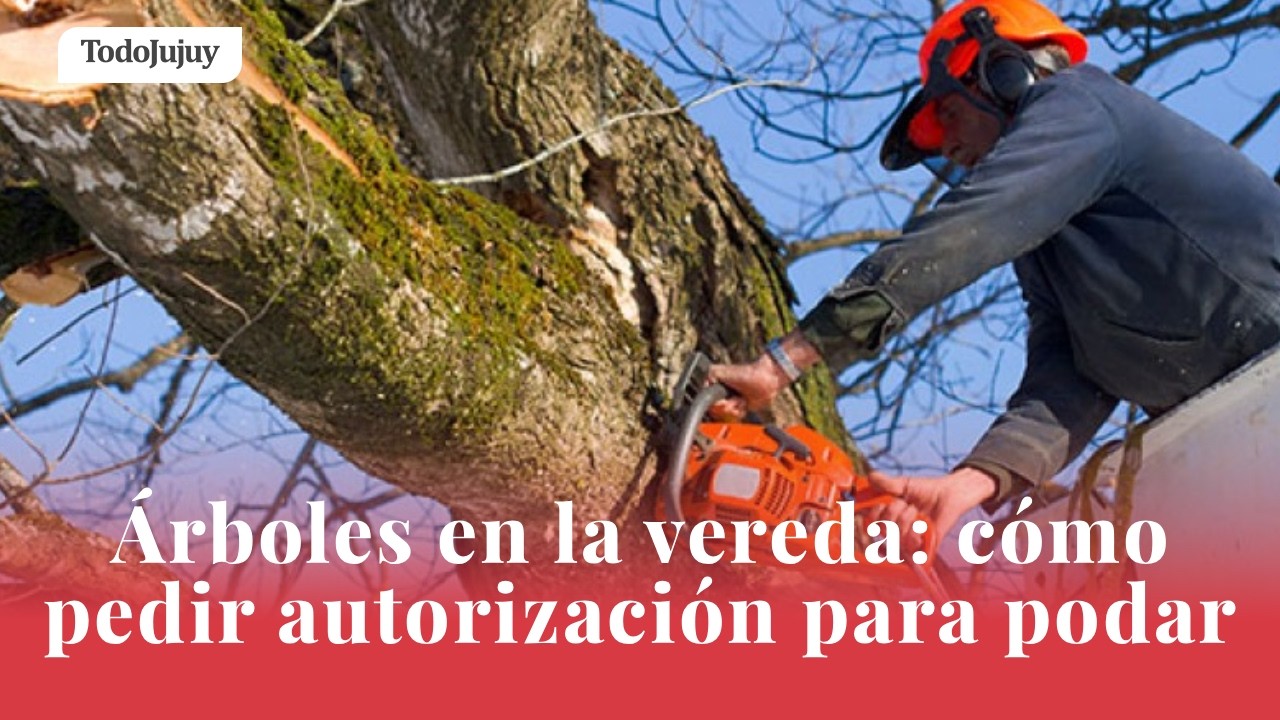 PODA DE ARBOLES EN LA VEREDA